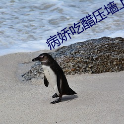 病娇吃醋压墙上做