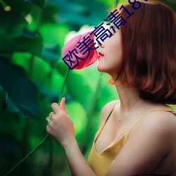 欧美高清18veosdesexo （精子库）