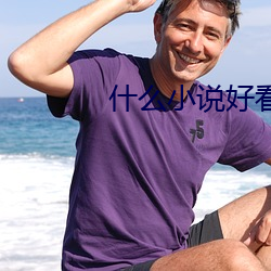 什(shén)么小说好看