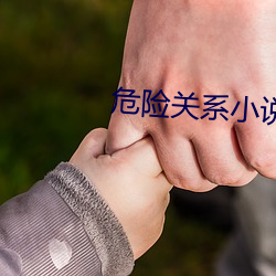 危(wēi)险(xiǎn)关系小说