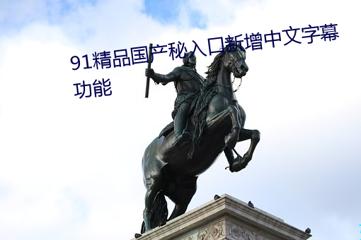 91精品国产秘入(入)口新zeng(zeng)中文字(字)幕功效(能)