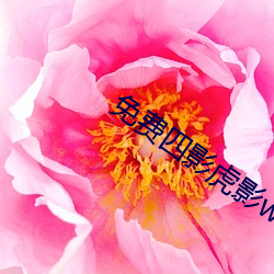 九游会登录j9入口 - 中国官方网站 | 真人游戏第一品牌