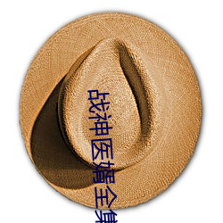 战神医婿全集