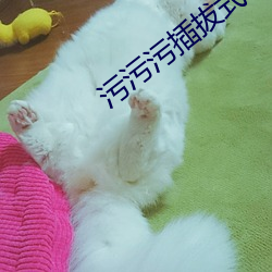 污污污插拔式