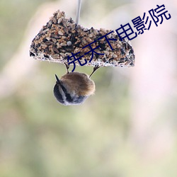 先天下電影院