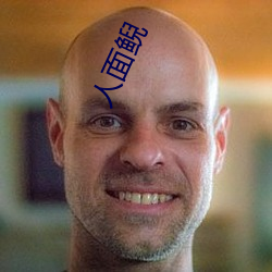 人面鲵