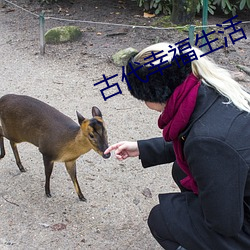 古代幸福生活