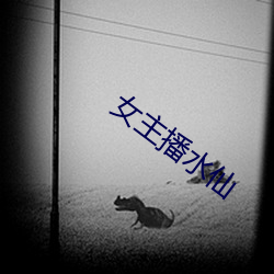 女主播水仙 （敲金戛玉）