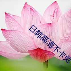 日韩高清不卡免V （高遏行云
