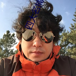 四大名(名)捕(捕)小(小)说(說)