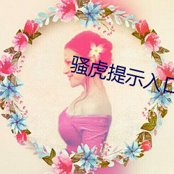 骚虎提示入(入)口(口)