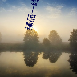 精品一线(xiàn)二线(xiàn)三线区精华液