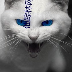 仙蹤林網站免費入口首頁歡迎您