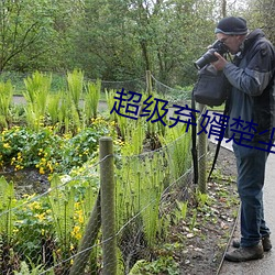 尊龙凯时(官网)人生就是博!