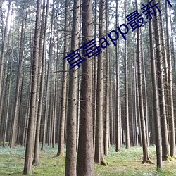 草莓app最新下載地址