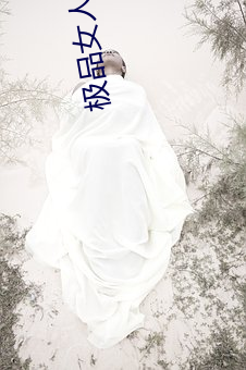 极品(品)女人(人)