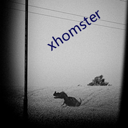 xhomster （鼠心狼肺）