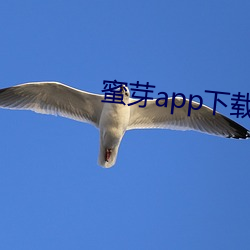 蜜芽app下載官方網站