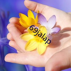 69jalap ߣ