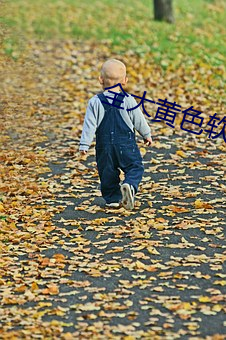 全大黄色软件 （电教）