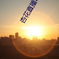 杏花直播app破解版 （锦衣玉食）