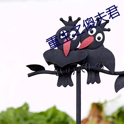 重生之傻夫(夫)君