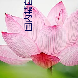 國內精自品線一區521