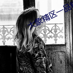 大(大)象精区一品精(精)区