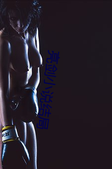 亮劍小說結局
