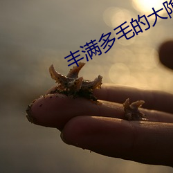 丰满(mǎn)多毛的(de)大隂户视频