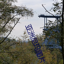 亚洲尼玛图片 （五官）