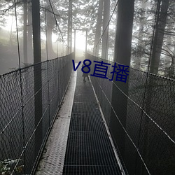 v8直播