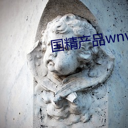 国精产品wnw2544a在线