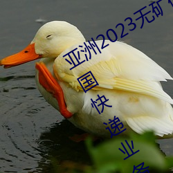 亚洲(洲)2023无矿砖(磚)码砖(磚)区:国家(家)邮政局:全国快(快)递(遞)业务量突破400