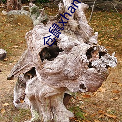仓鼠xhanmasters