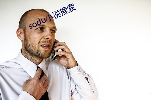 sodu小说搜索(索)