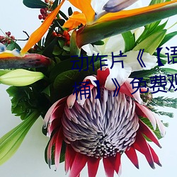 动作片《【语文课代表趴下让我桶】》免费观看全集完 （高情远意）