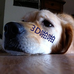 3D啪啪