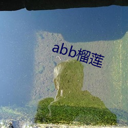 abb榴莲(lián)