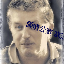 爱情公寓 高(高)清(清)
