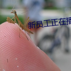 新員工正在播放