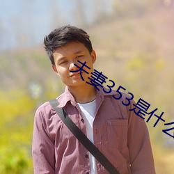 夫妻353是什么(me)意(yì)思