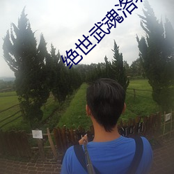 绝世武魂洛城东 （砂里淘金）