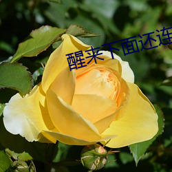 醒来下面还连在一起