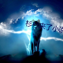 杉杉来了小说