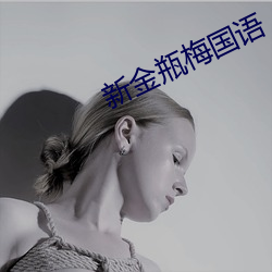 新金瓶梅国语