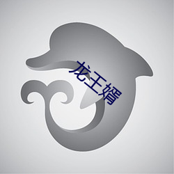 龙王婿