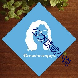公交誘或小说 （弃之可惜）