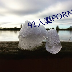 91人妻PORNY九色大屁股