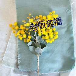 老版趣(q¨´)播